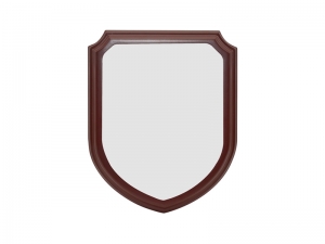 Shield Award Plaque