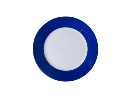 8&quot; Plate w/ Blue Edge