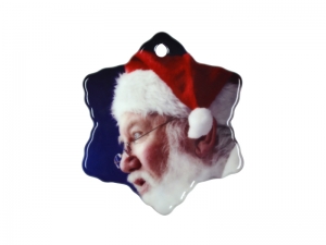 Ornament.Big Snow